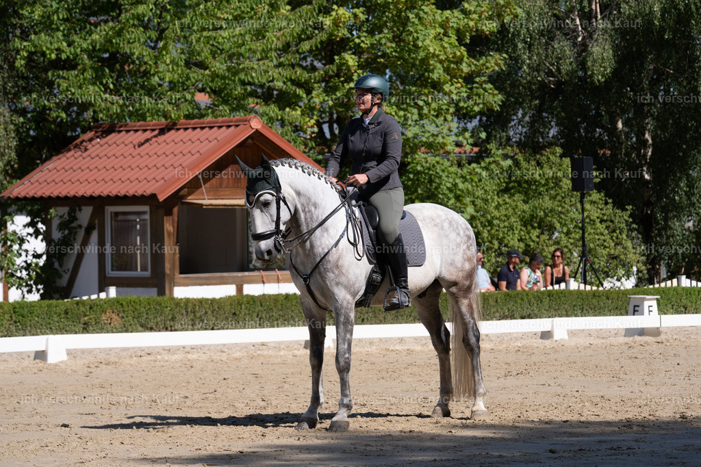 WL_DR_69_sinafilmart_IN07163 | working equitationturnier fotograf videograf stoibphotography marixx film working equitation deutschland reitsport turnierfotografie eventfotografie equestrian events