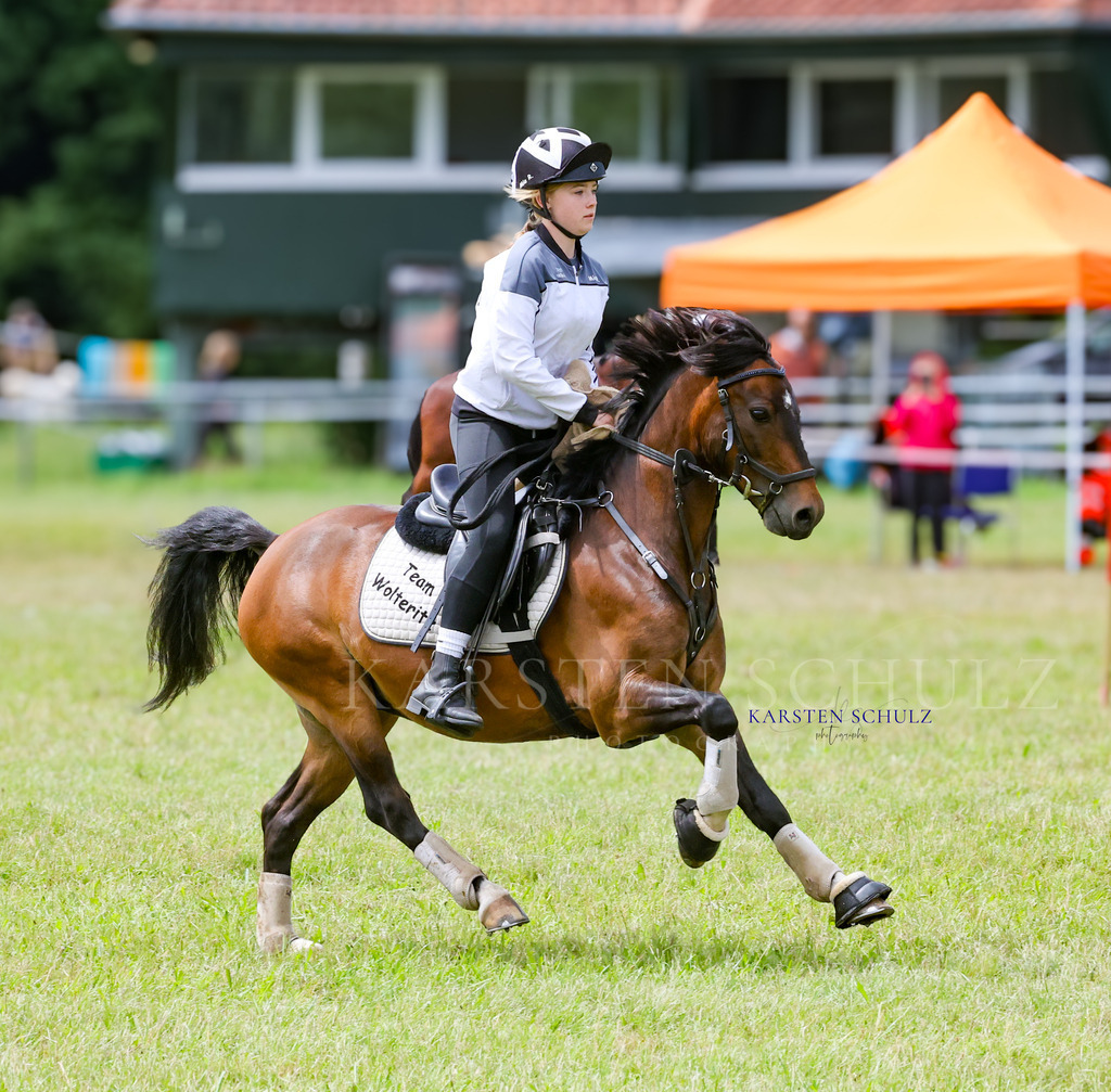 1B3A1741 | Reitsport Reiten