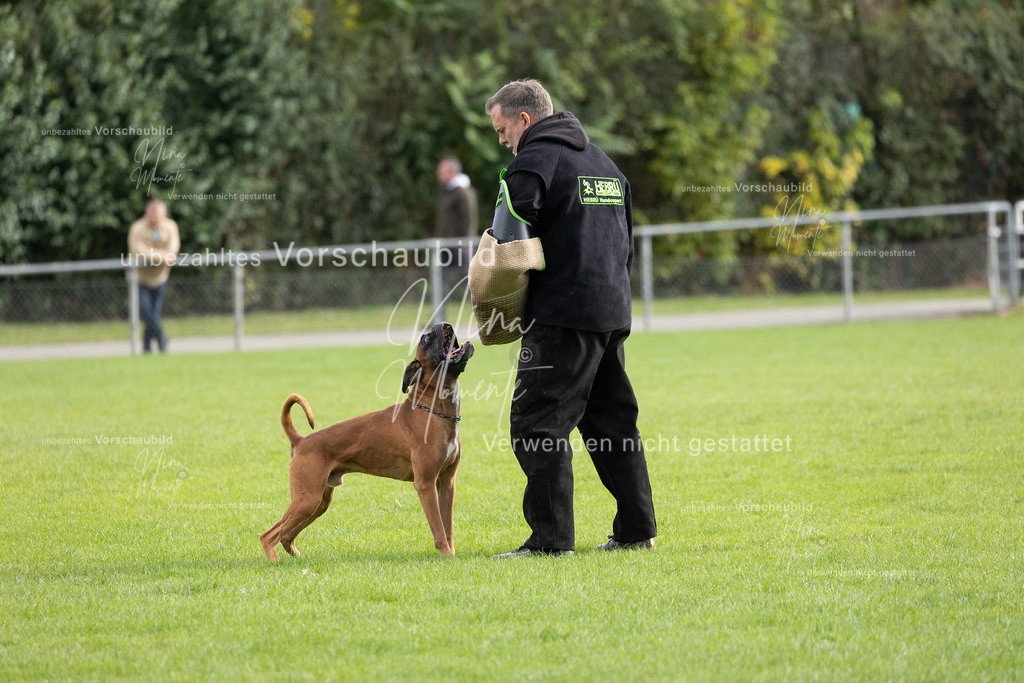 _16A7072 | Einzigartige Fotos von Hunden & Menschen –Actionfotos, Portraits, Vereinsaufnahmen & Paarshootings – authentisch, lebendig & mit Herz.
