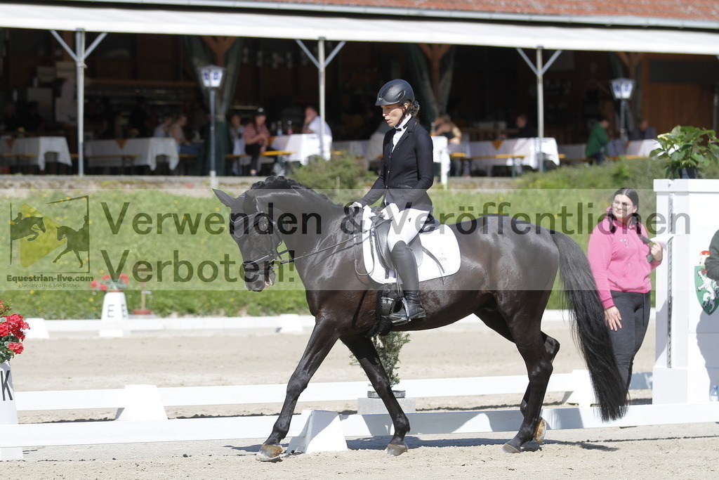 _MG_6736 | equestrian-live-com