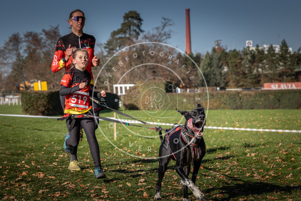 CaniXpix_0L8A7070 | Hundefotografie, Tierfotograf, Pfotenfotografie, Fotoshooting Hund, Hunde Portrait, Hundesport, Hundeportraits, Heideshooting, Hunde, Sportfotograf, Hundefotograf, Turnierhundsport, THS,  - Realisiert mit Pictrs.com