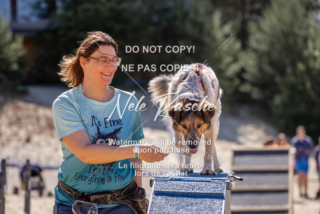 NR__1172 | nelerasche