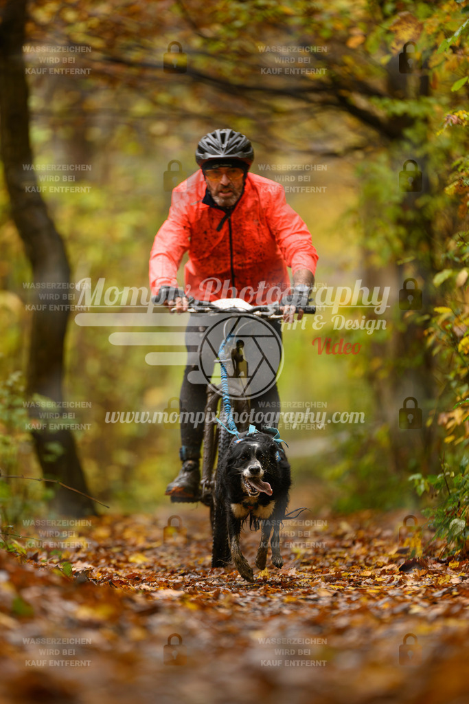 MompixPhotography_CD7S_DI_Bike-55 | mompixphotography