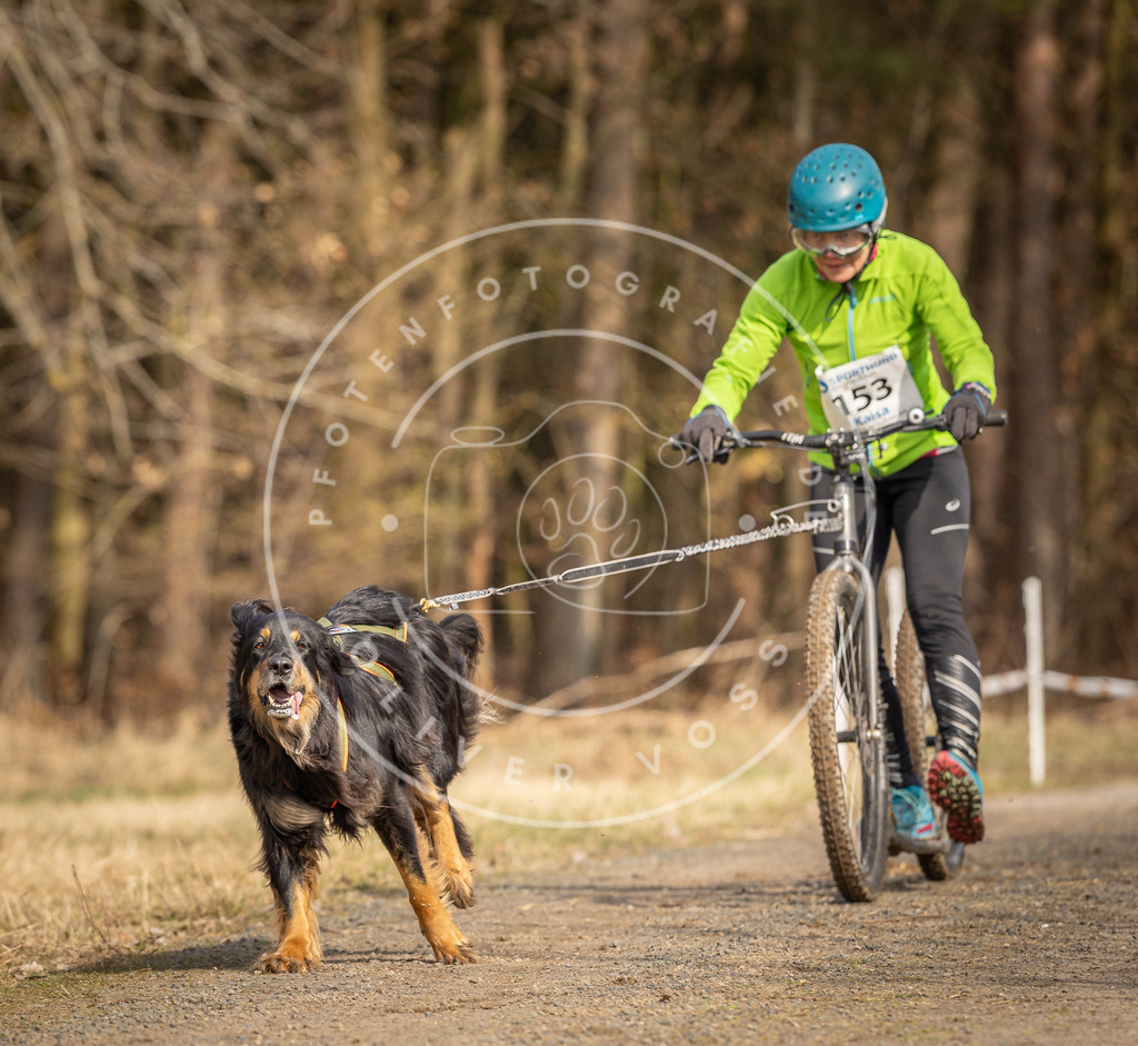 DV3A4841 | Hundefotografie, Tierfotograf, Pfotenfotografie, Fotoshooting Hund, Hunde Portrait, Hundesport, Hundeportraits, Heideshooting, Hunde, Sportfotograf, Hundefotograf, Turnierhundsport, THS,  - Realisiert mit Pictrs.com