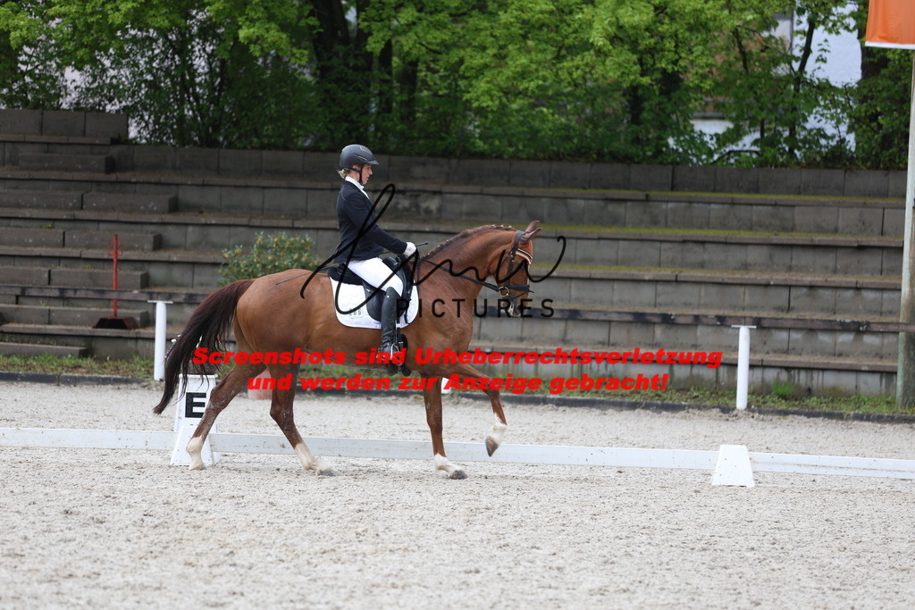 A40A9077 | lmwpictures - Realisiert mit Pictrs.com