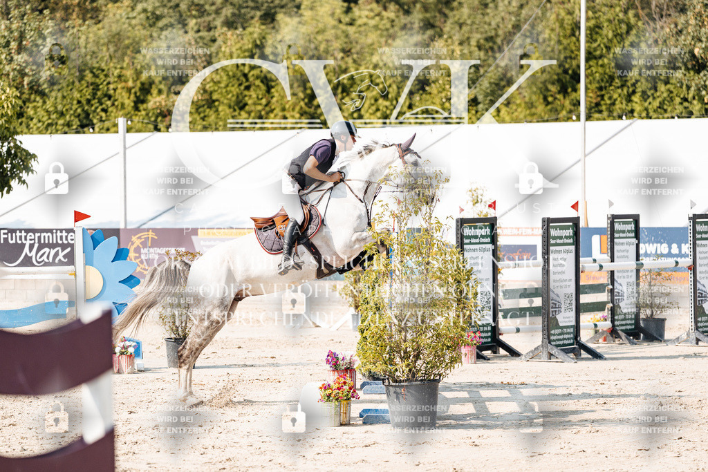 CK902544 | Turnierfotografie Pferdefotografie Trier Rheinland-Pfalz Pferdesport Reitsport Tierfotografie Sportfotografie Pferdevideo Pferdevideografie Equestrianvideography equestrianphotography  - Realisiert mit Pictrs.com