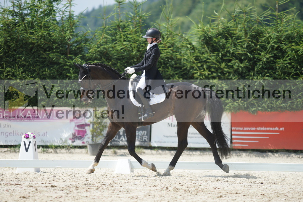 DSC05292 | equestrian-live-com