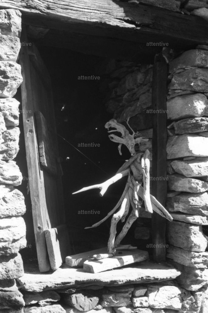 Elch | Corippo, Verzascatal, Schweiz - Realisiert mit Pictrs.com