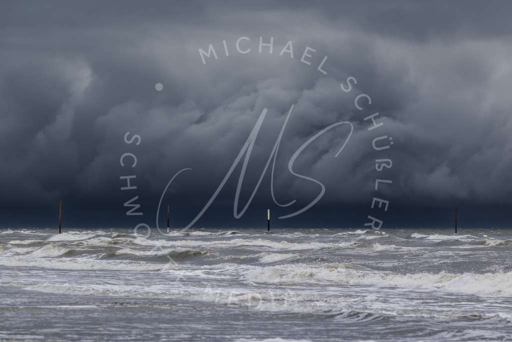 2025-07-23 SPO Strand Silbermoewe 009 | Schwotte Media - Realisiert mit Pictrs.com