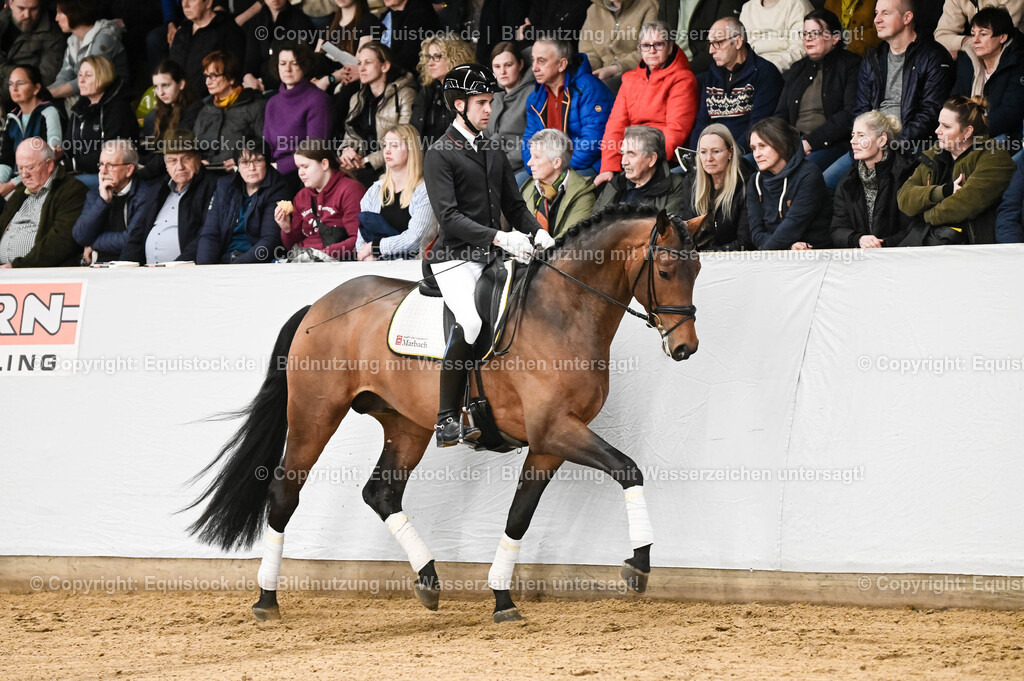 20260307_Hengstvorstellung-Marbach_0060 | equistock
