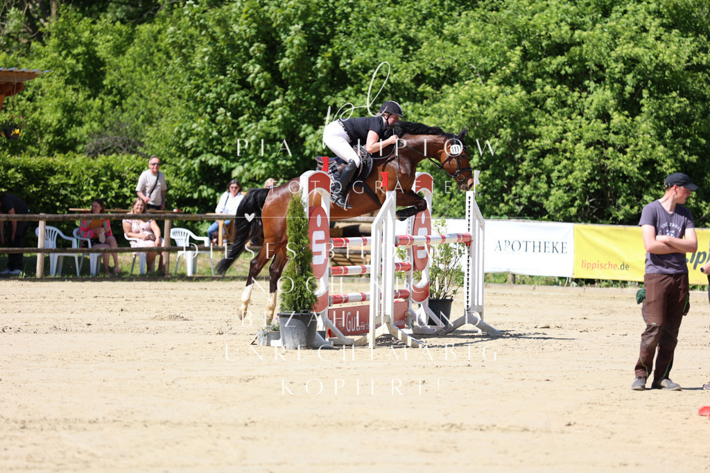 IMGS8617 | pl-fotografie