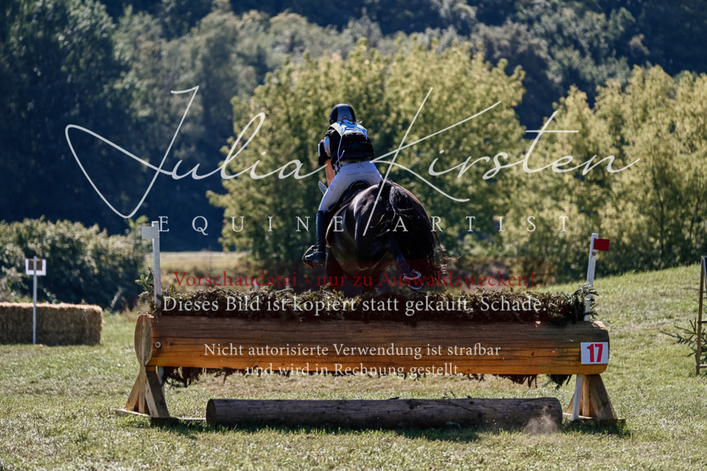 DSC_1817 | Pferde- und Turnierfotografie in Westsachsen. Pferdeportraits, Auftragszeichnungen und intuitive Kunst.