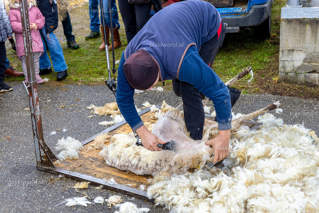 SchaZie-Tag Feldkirchen | Bildershop von pixelworld.at - Realisiert mit Pictrs.com