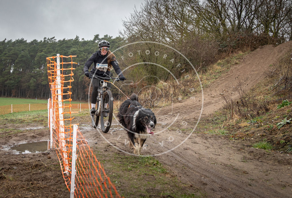 0L8A9024 | Hundefotografie, Tierfotograf, Pfotenfotografie, Fotoshooting Hund, Hunde Portrait, Hundesport, Hundeportraits, Heideshooting, Hunde, Sportfotograf, Hundefotograf, Turnierhundsport, THS,  - Realisiert mit Pictrs.com