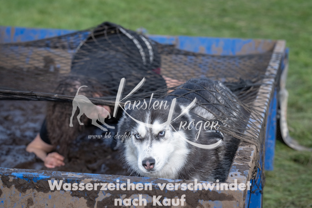 1626_ZZ92599 | kk-dogfotos