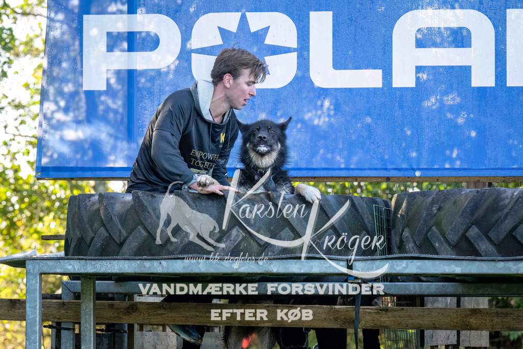 1031--2 | kk-dogfotos