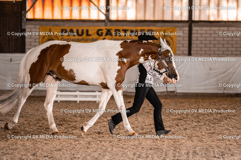 ZH100178 | dv-media-shop - Realisiert mit Pictrs.com