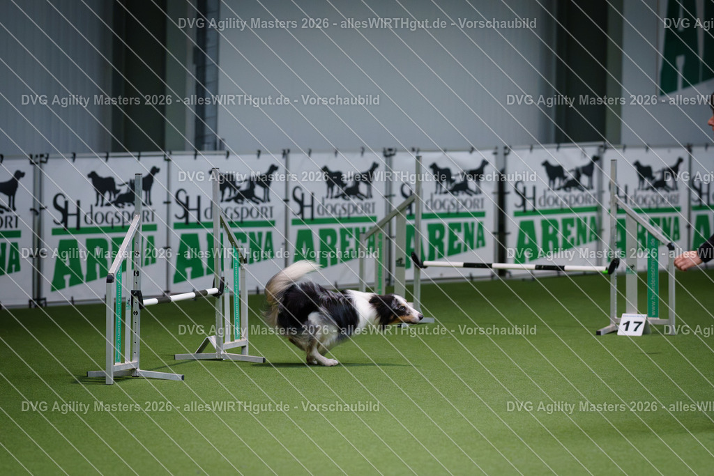 allesWIRTHgut_Tierfotografie-DVG_Agility_Masters_2026-09_20-7R509137 | Professionelle Tierfotografie in Mönchengladbach von Daniel Wirth (allesWIRTHgut). Liebevolle & natürliche Bilder von Hunden & Katzen für unvergessliche Erinnerungen.