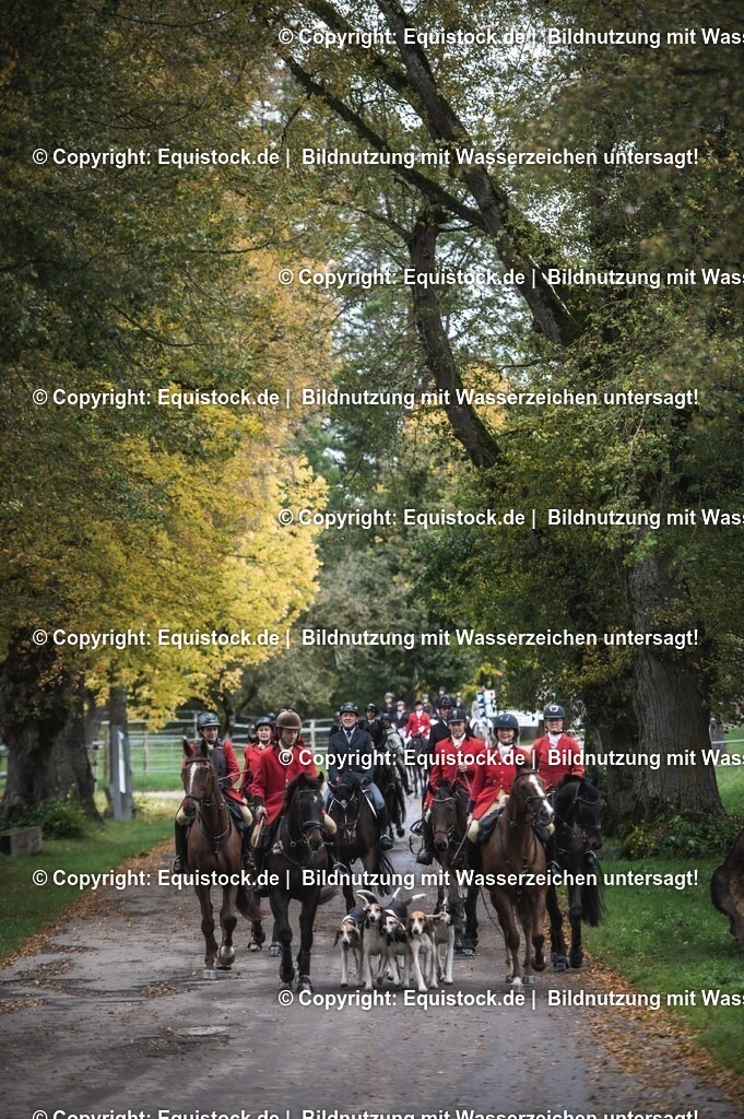 20241013_Jagd-Marbach_0484 | Foto: Thomas Hartig