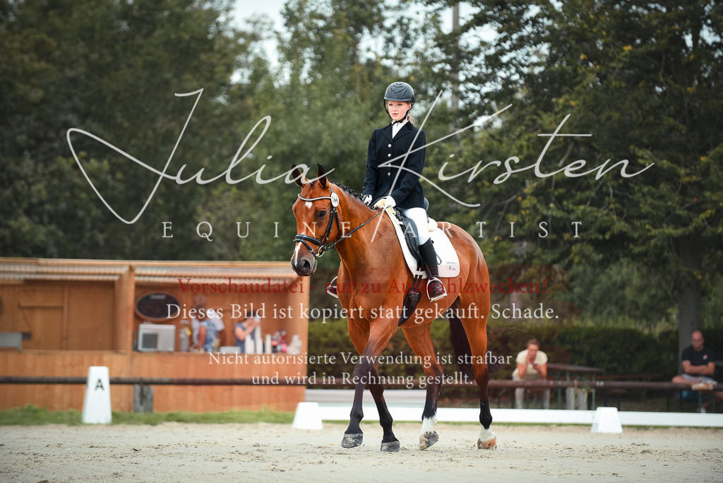 DSC_8001 | Pferde- und Turnierfotografie in Westsachsen. Pferdeportraits, Auftragszeichnungen und intuitive Kunst.