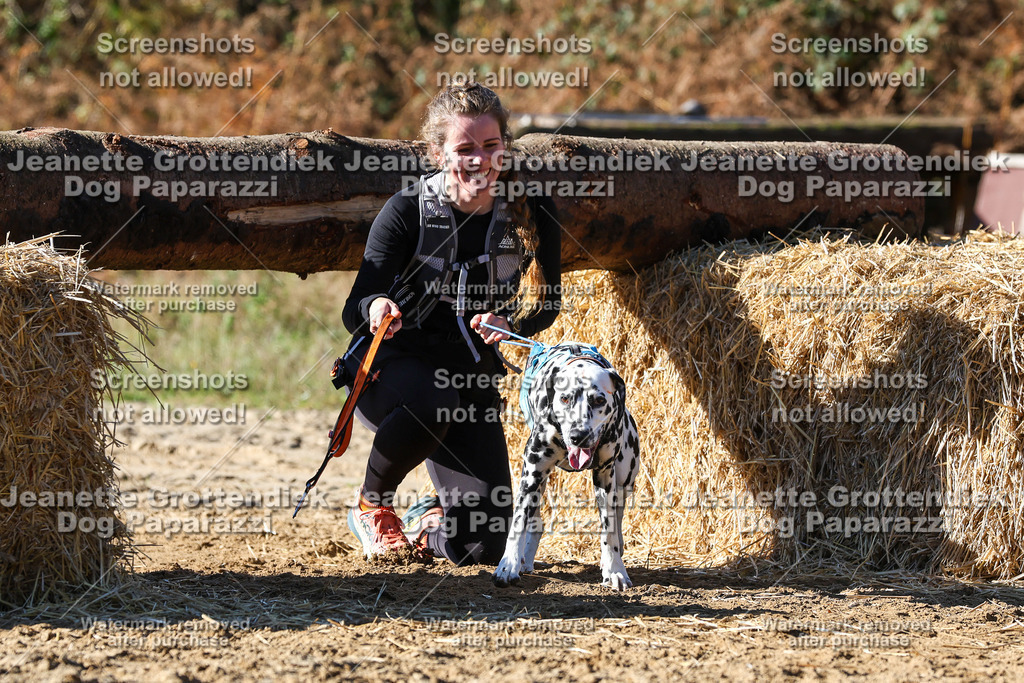 Dog Paparazzi - Strongdog 10-25-2768 | Dog Paparazzi Jeanette Grottendiek Fotografie & Videografie - Realisiert mit Pictrs.com