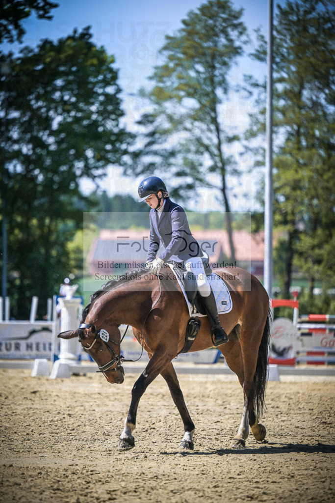 DOS_9307 | Entdecke hochwertige Reitturnierfotos von Foto Oger. Professionell, emotional und authentisch – jetzt Lieblingsmomente im Shop bestellen.Deutschlandweite Turnierfotografie. - Realisiert mit Pictrs.com