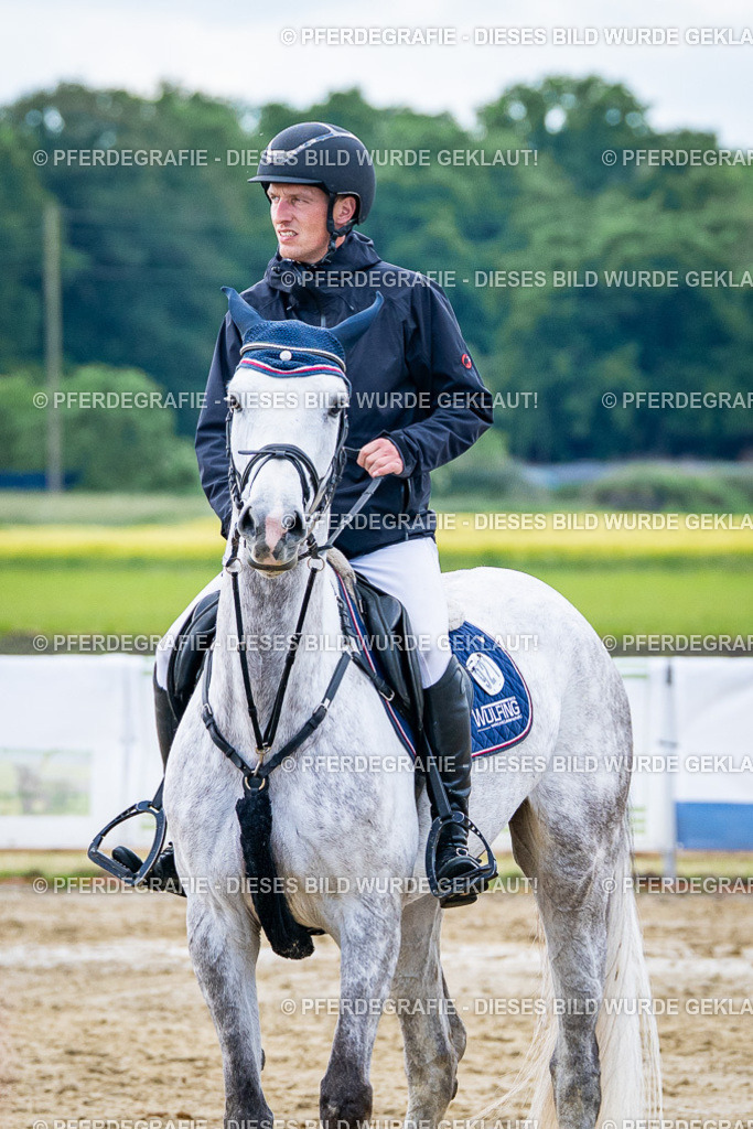 DSC05039 | Pferdegrafie