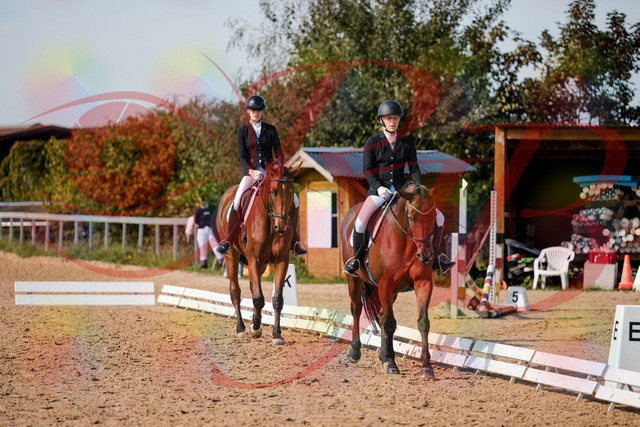 2026_10_03_Siefer-Hof_130908_Z63_71339389 | Professionelle Reitsport-, Turnier- und Eventfotografie von Robert Broda. Galerien mit ausgewählten und bearbeiteten Bildern direkt online ansehen und bestellen.