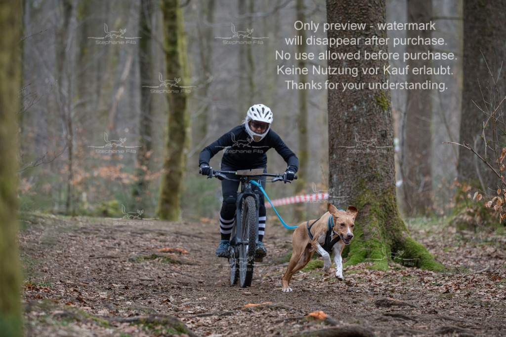 Bike_So-139 | stephaniefillaphotographie - Realisiert mit Pictrs.com