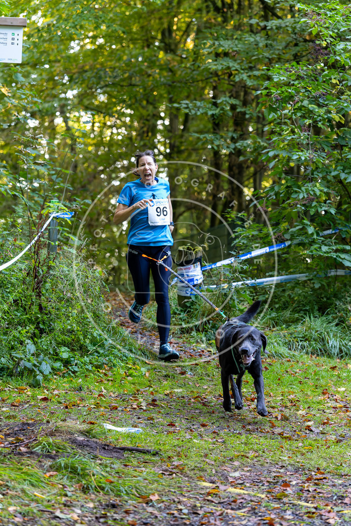 Pfotenfotografie_DV3A7821 | Hundefotografie, Tierfotograf, Pfotenfotografie, Fotoshooting Hund, Hunde Portrait, Hundesport, Hundeportraits, Heideshooting, Hunde, Sportfotograf, Hundefotograf, Turnierhundsport, THS,  - Realisiert mit Pictrs.com