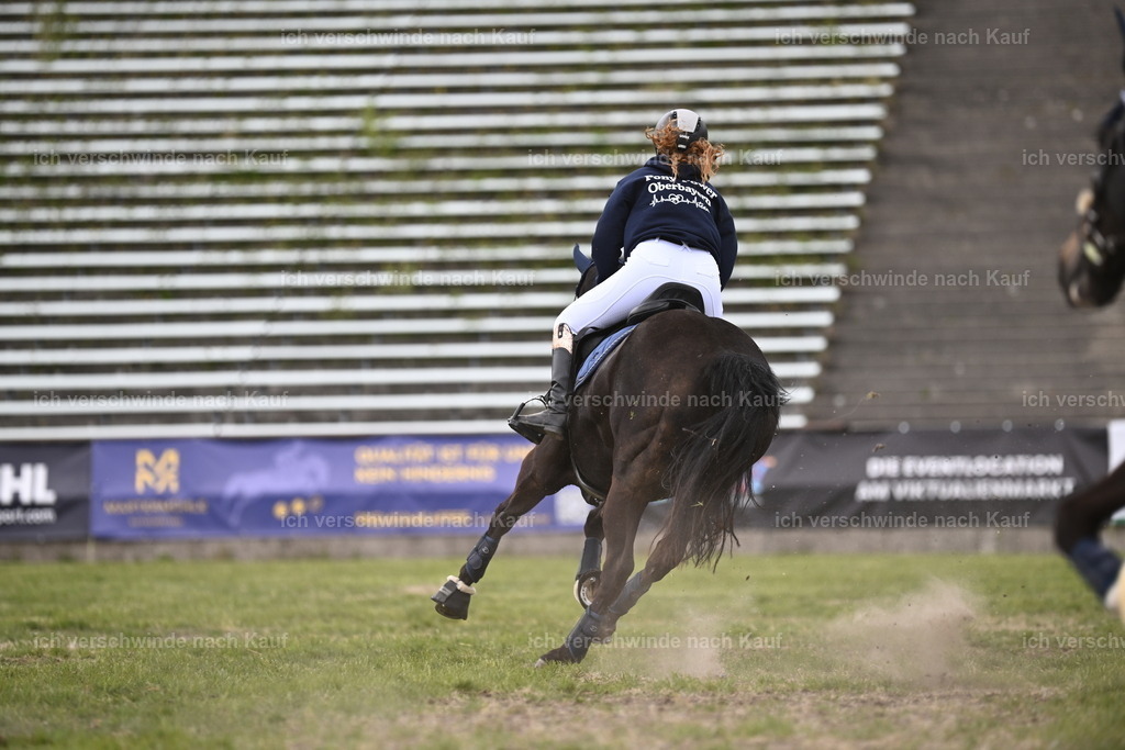 PI26_Show_Sara_Landvogt_226_1901.JPG | working equitationturnier fotograf videograf stoibphotography marixx film working equitation deutschland reitsport turnierfotografie eventfotografie equestrian events