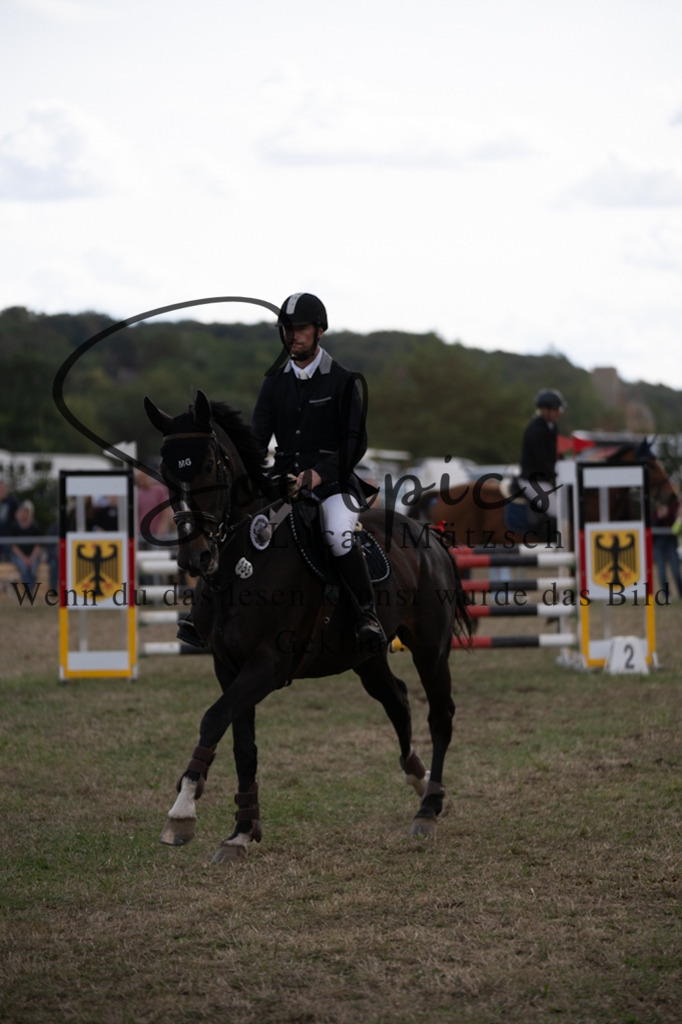 A7V09512 | Pferdefotograf