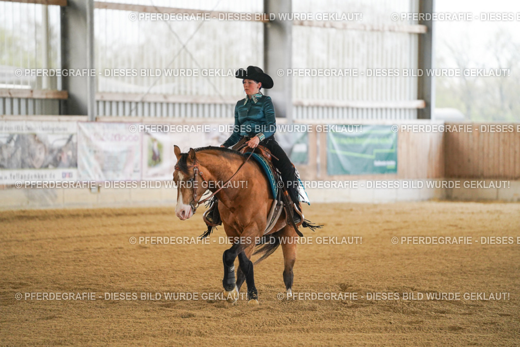 DSC08486 | Pferdegrafie