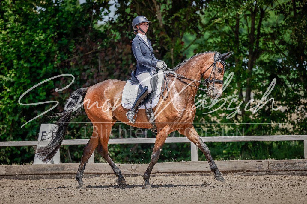 20250621-_3LI7878 | Tierfotografie Pferde, Hunde, Katzen, Haustiere.
Turnierfotografie Reitturniere, Reiten, Springreiten, Dressur in Hanau, dem Main-Kinzig-Kreis und dem Rhein-Main- Gebiet um Frankfurt
