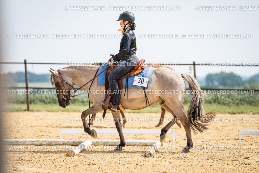 DSC09918 | Pferdegrafie