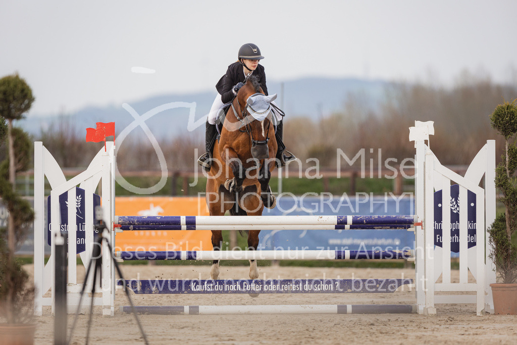 230406_Frühlingsfest_A-Stil2-226 | Deine schönsten Turniermomente als professionelle Fotos! Entdecke hochwertige Pferdesport-Fotografie im Online-Shop. Jetzt Fotos finden & bestellen!