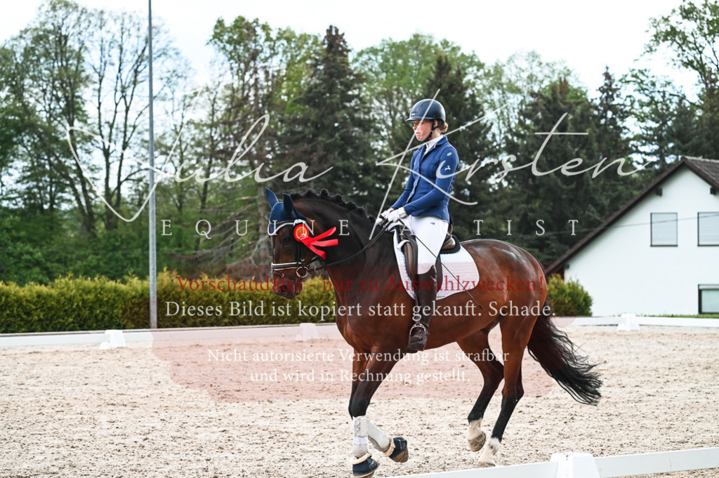 20230513_JK-Röhrsdorf-11-440 | Pferde- und Turnierfotografie in Westsachsen. Pferdeportraits, Auftragszeichnungen und intuitive Kunst.