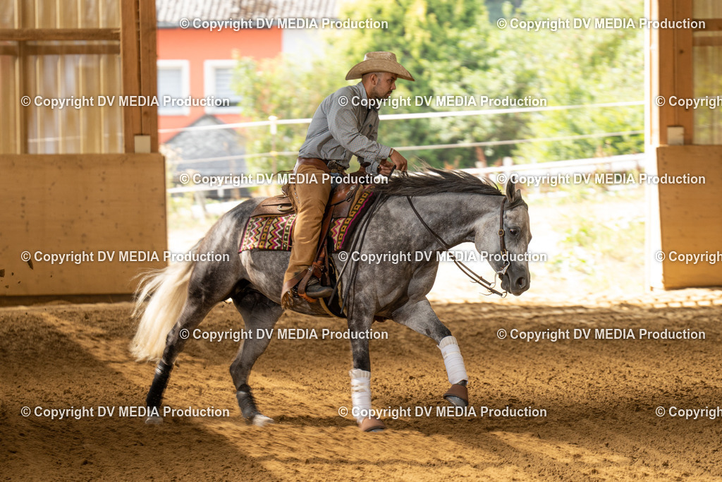 LAU01573 | dv-media-shop - Realisiert mit Pictrs.com