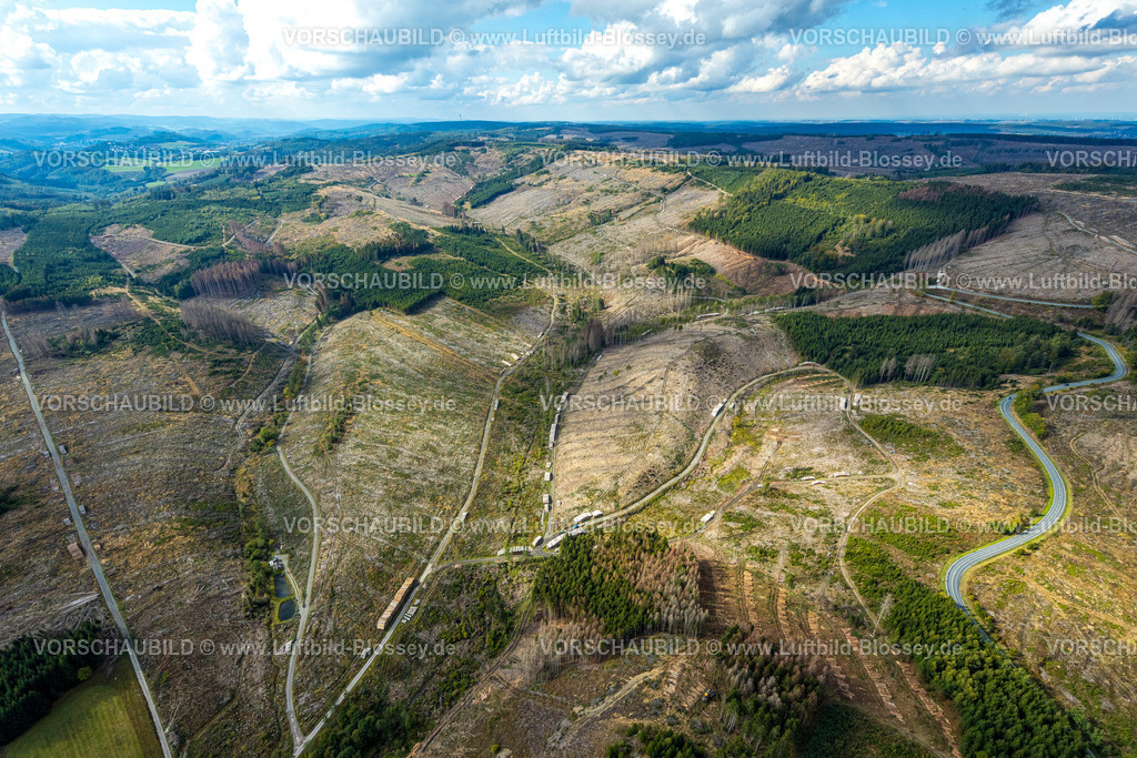 Bestwig220902003 | Luftbild, Waldschäden, Waldsterben, Nuttlar, Bestwig, Ruhrgebiet, Nordrhein-Westfalen, Deutschland