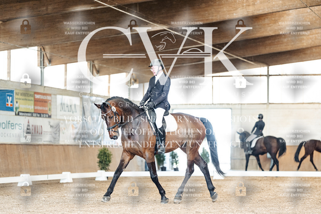 CK901259 | Turnierfotografie Pferdefotografie Trier Rheinland-Pfalz Pferdesport Reitsport Tierfotografie Sportfotografie Pferdevideo Pferdevideografie Equestrianvideography equestrianphotography  - Realisiert mit Pictrs.com