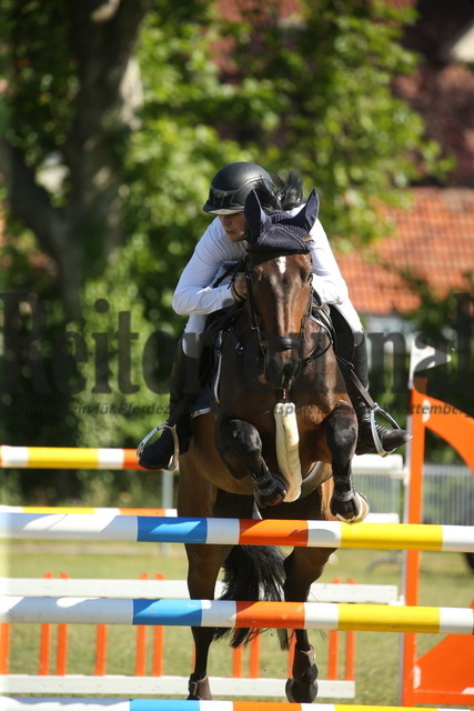 Ilsfeld_2022_Springen_Kl.S_m.direktem_Stechen_Marvin Frey_Ferstlhof_s Cavalinka (8) | Alle Fotos der Reiterjournal Fotografin Doris Matthaes im Reiterjournal Online-Fotoshop. - Realizado com Pictrs.com