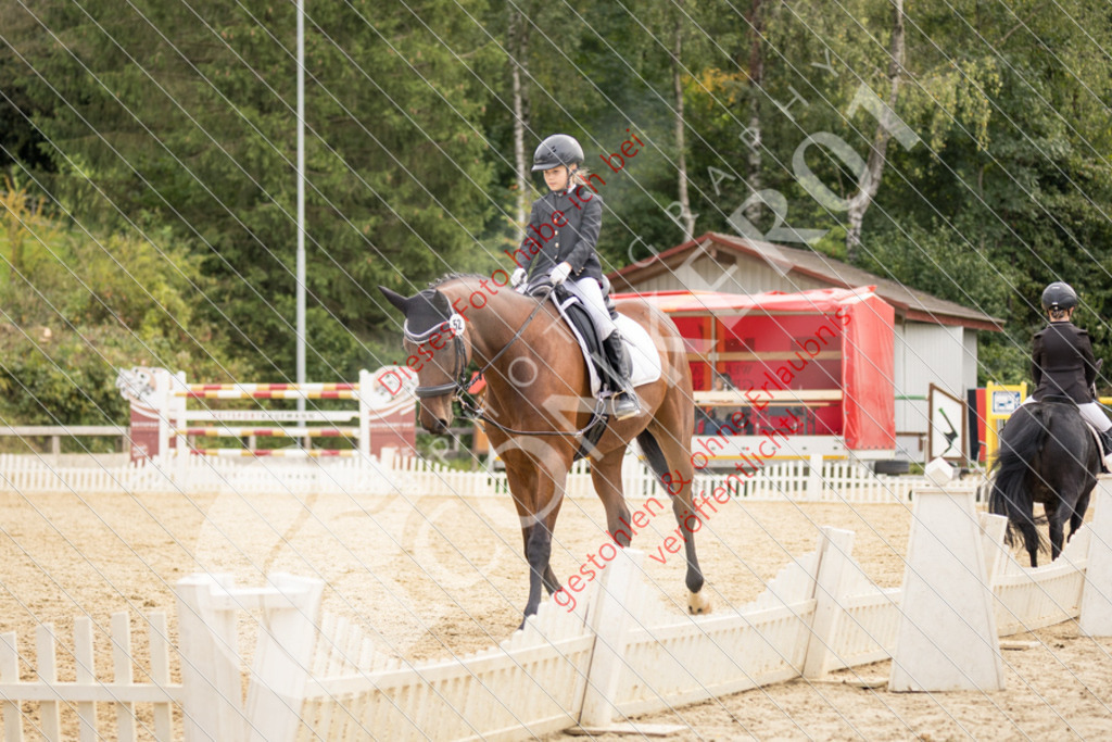 CON_0324 | Sport-, Event- und Tierfotos in Profiqualität. Einfach auswählen, bestellen und herunterladen. Dein Moment – perfekt festgehalten.