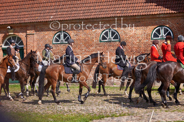 _MCH7818_Marina Hewig | Fotografie, FotoArt, PferdesportArt, Pferdesportfotografie, Landschaftsfotografie, Reisefotografie, Reise, Pferde - Realisiert mit Pictrs.com
