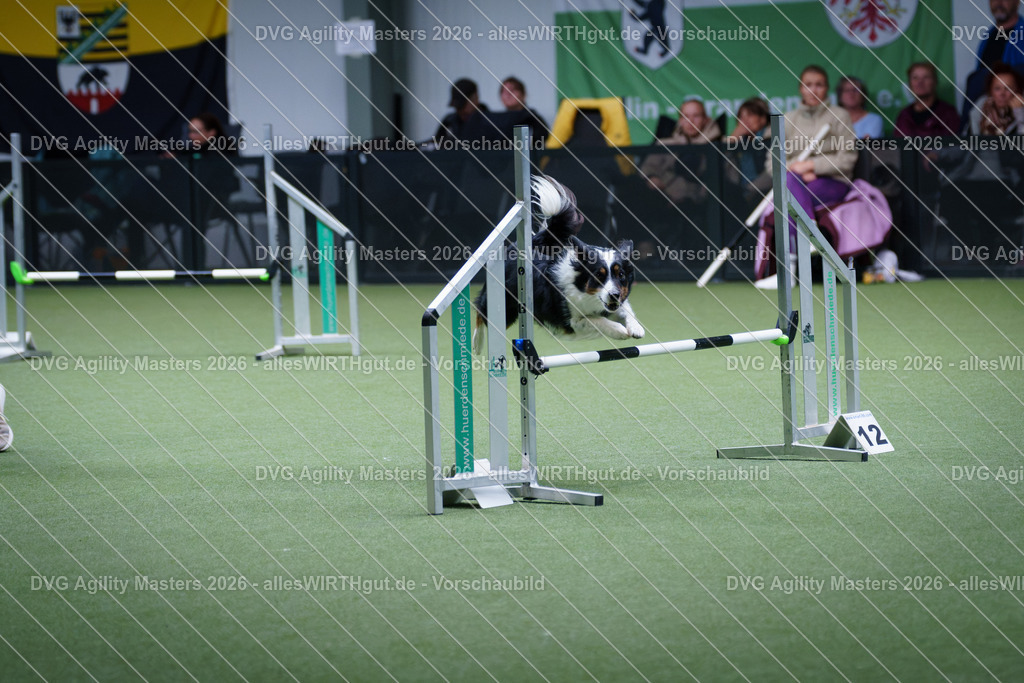 allesWIRTHgut_Tierfotografie-DVG_Agility_Masters_2026-12_31-7R502510 | Professionelle Tierfotografie in Mönchengladbach von Daniel Wirth (allesWIRTHgut). Liebevolle & natürliche Bilder von Hunden & Katzen für unvergessliche Erinnerungen.