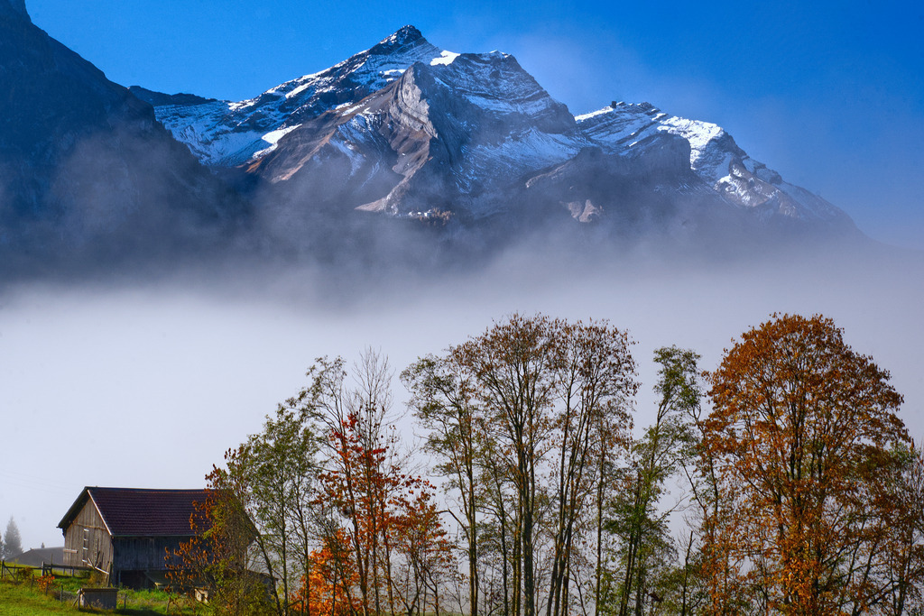 Herbststimmung | In diesem Shop werden vorwiegend künstlerisch hochstehende Aufnahmen aus dem Bereich der Naturfotografie zum Verkauf angeboten. - In this store mainly artistic high quality shots from the field of nature photography are offered for sale. - Realisiert mit Pictrs.com