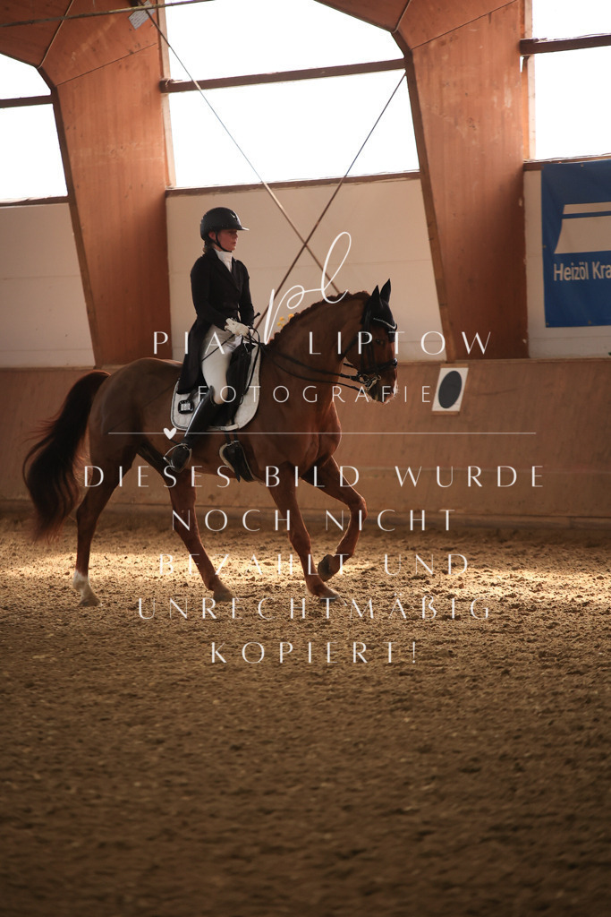 IMGT4769 | pl-fotografie