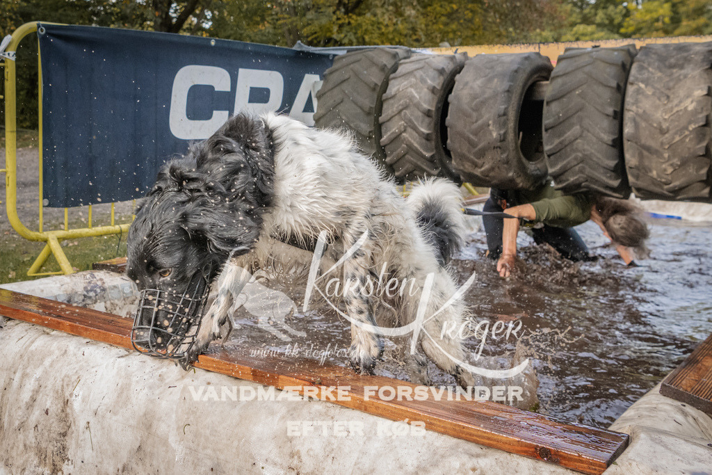 1442_ZZ94901 | kk-dogfotos