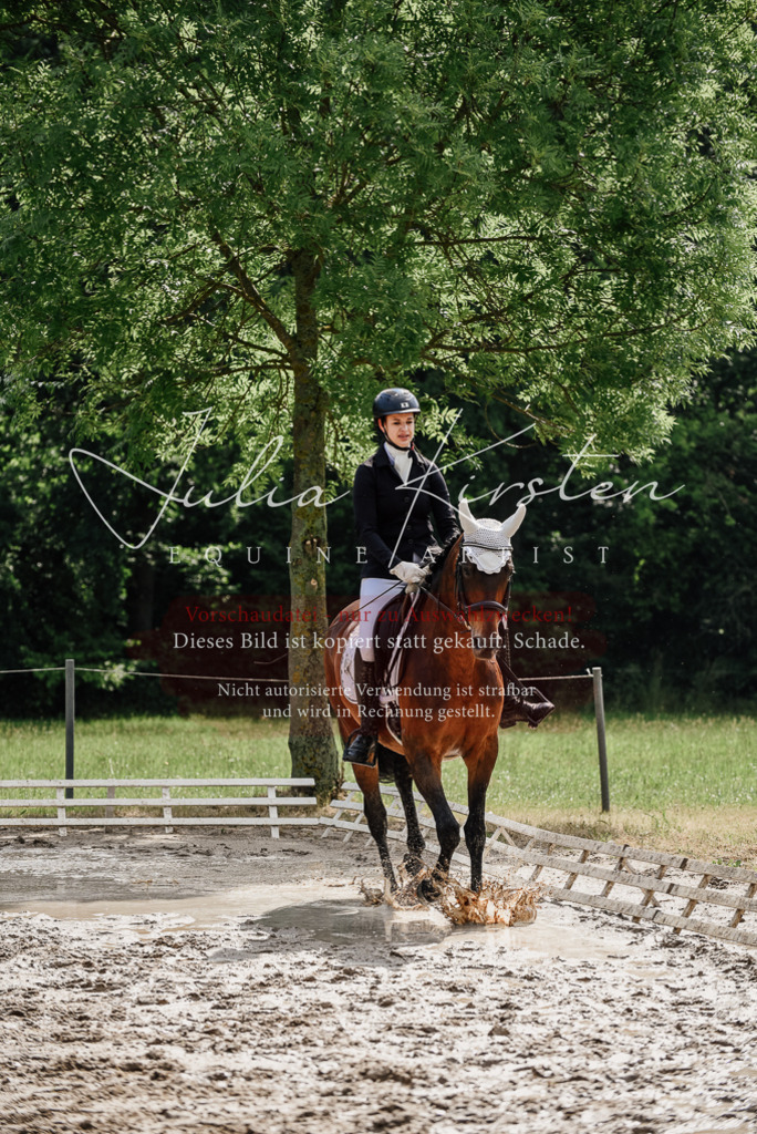 DSC_9823 | Pferde- und Turnierfotografie in Westsachsen. Pferdeportraits, Auftragszeichnungen und intuitive Kunst.