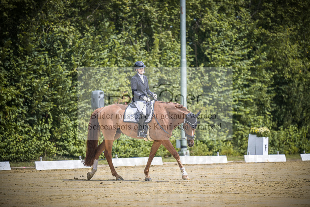 DOS_0051 | Entdecke hochwertige Reitturnierfotos von Foto Oger. Professionell, emotional und authentisch – jetzt Lieblingsmomente im Shop bestellen.Deutschlandweite Turnierfotografie. - Realisiert mit Pictrs.com