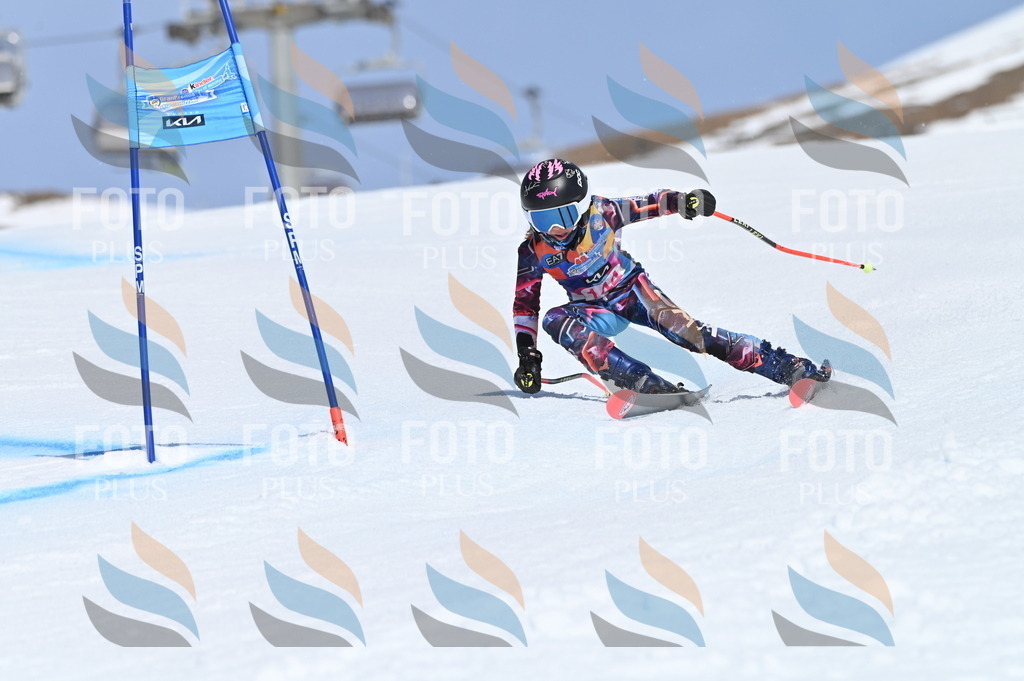 BGV_0216 | holidayphoto